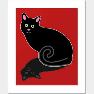 Black Cat with Shadow Posters and Art